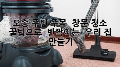 ✨ 오송 주민 주목! ✨ 창문 청소 꿀팁으로 ✨ 반짝이는 ✨ 우리 집 만들기!