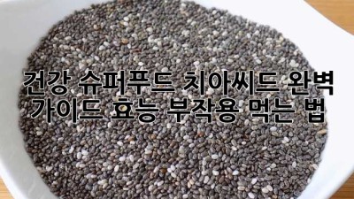 건강 슈퍼푸드 치아씨드 완벽 가이드: 효능, 부작용, 먹는 법!