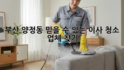 부산 양정동 믿을 수 있는 이사 청소 업체 찾기